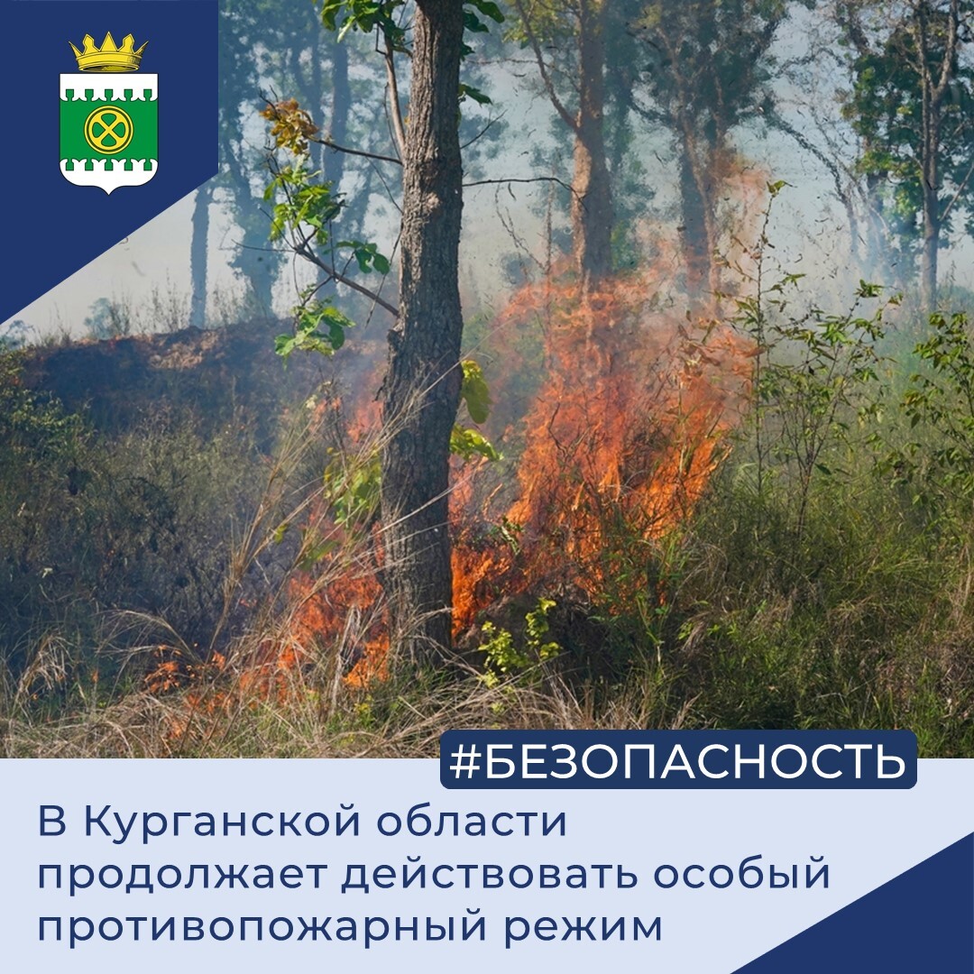 Продолжает действовать особый противопожарный режим.