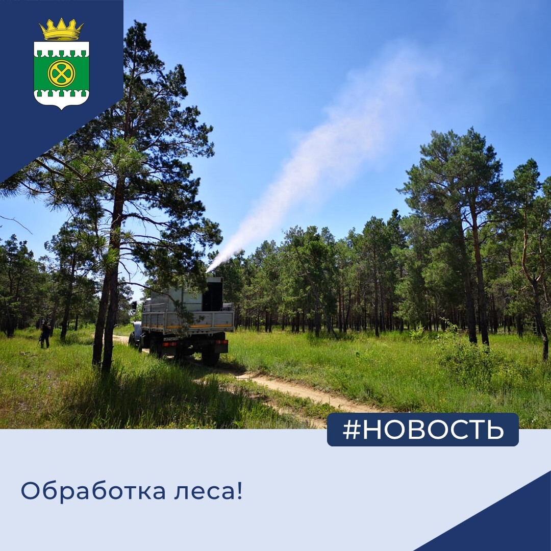 Обработка леса!.
