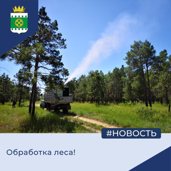 Обработка леса!. Обработка леса!.